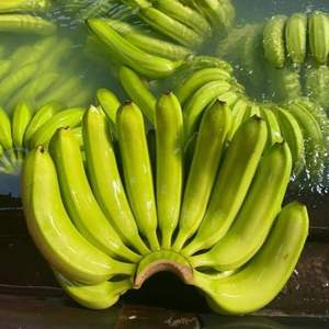 Bananes Cavendish fraîches de qualité supérieure - Qualité d'exportation de classe I - Approvisionnement en vrac - Product Image 2