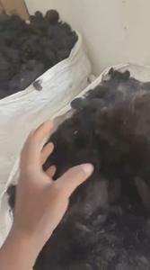 Cabello Virgen Indio Remy Guti Goli Sin Procesar Precio al por Mayor Producto 100% de Alta Calidad Trama Doble a Máquina Directo de la India - Product Image 4