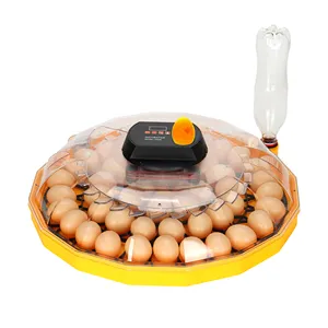 Intelligent Control 48 Eggs Incubator Fully Automatic for Hatching Eggs CE Approved