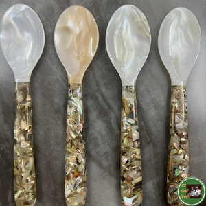 Handmade Decoration Seashell Natural Shell Material For Interior Decoration And Custom <b>Craft</b> <b>Supply</b> Vietnam - Product Image 2