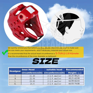 Professional Made Latest Design Taekwondo <b>Head</b> Guard New Arrival Light Weight Taekwondo <b>Head</b> Guard - Product Image 6