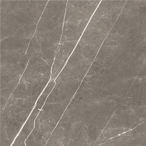 Descubre la belleza atemporal con los azulejos de porcelana de 600x600 mm elaborados en India. Descubre el diseño moderno con azulejos de calidad atemporal. - Product Image 6