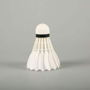 Volants de badminton personnalisés pour entraînement, unisexe, avec conception de logo personnalisé - Product Image 1