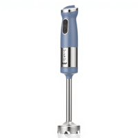 Ensemble de mixeur plongeant RAF 5 en 1, mixeur plongeant 900 W, lame en acier inoxydable avec capacité de broyage de glace