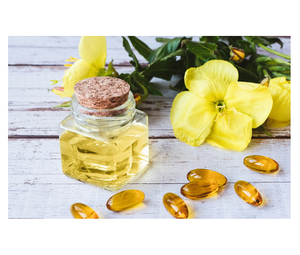 Vente en gros d'huile végétale d'onagre Huile raffinée naturelle pour la cuisine et la santé pour les soins de la peau au détail et à l'exportation à bas prix - Product Image 4