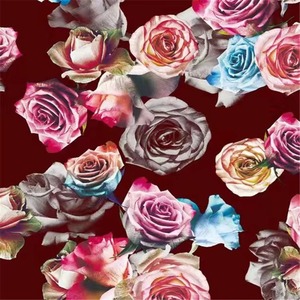 <b>Turkey</b> Istanbul Market 100% Rayon Fabric for <b>Clothes</b> Manufacturers in Shaoxing - Product Image 1