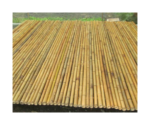 Suministro a granel de poste de bambú de alta calidad disponible de Vietnam-Longitud y diámetros personalizados para aplicaciones múltiples - Product Image 4