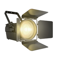 Projecteur de théâtre SHEHDS 250W, lumière froide et chaude, haute luminosité, sans scintillement, lumière Fresnel pour théâtre, scène, église, studio