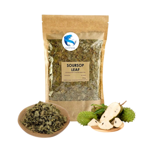 100% Corosp biologique/Graviola thé en vrac thé santé cuit à la vapeur et cru emballé dans une boîte en vrac sac emballage sous vide - Product Image 1