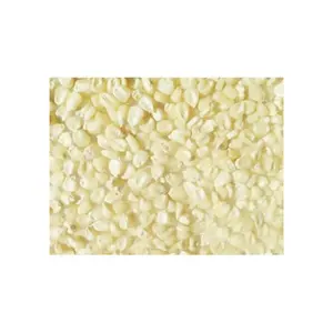 Maïs blanc sans OGM (maïs blanc), maïs blanc Fournisseurs - Product Image 4