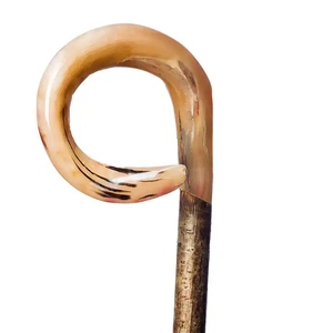 Bastón de cuerno de búfalo de alta calidad Eje de madera pulido Bastón de soporte para exteriores - Product Image 4
