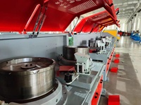 Máquina de trefilado de alambre de acero galvanizado con tecnología europea eficiente para hacer clavos de acero de alto carbono