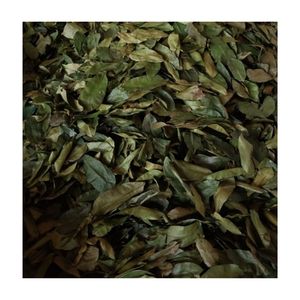 ใบมะขามป้อมอบแห้งแบบไม่ใช้สารเคมี ราคาถูก คุณภาพสูง ขายดี ชาเขียวจากใบมะขามป้อม การค้าระหว่างประเทศ ใบกราเวียโลรา ราคาถูก - Product Image 4