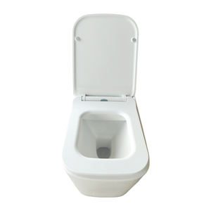 Настенный настенный туалет для ванной комнаты, Модель № 603 - Product Image 5