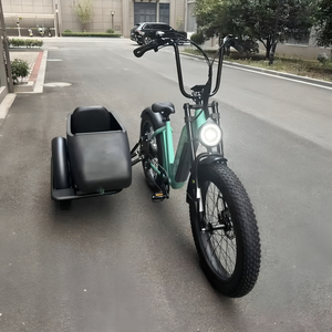 Best Quality 26 Inch <b>Frame</b> <b>Mounted</b> Retro Vintage Electric Bikes <b>with</b> Fat tire & Cargo Sidecar - Product Image 2