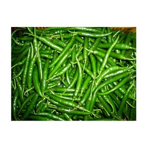 Piment vert frais / Piment au meilleur prix du marché auprès du fournisseur n°1 en Belgique - Product Image 4