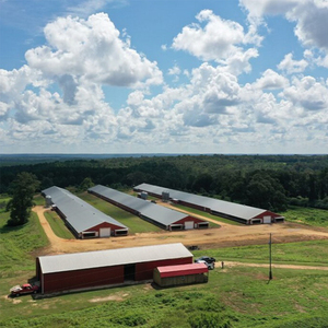 Pollaio in Struttura d'Acciaio con Telaio Leggero e Design Rustico per Allevamento di Polli Installazione Rapida - Product Image 6