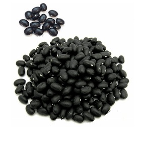Compre Frijoles Negros Secos Blancos Orgánicos de Calidad, 25 kg a Granel/Paquete al Vacío/Lata, 24 Meses de Duración, Grado Alimenticio - Product Image 5