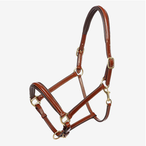 Fait sur mesure cheval licou produit équestre cheval licou pour chevaux Offre Spéciale nouvelle mode cuir équitation licous qualité supérieure - Product Image 6