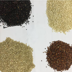 Granos de Quinua Orgánica de Alta Calidad para Mayoristas, Fabricantes de Alimentos, Exportadores y Distribuidores - Product Image 2
