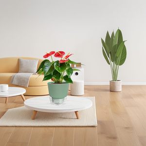 Pot de plante auto-arrosant avec mèche en coton - Jardinière pour fleurs <span class=keywords><strong>d</strong></span>'intérieur <span class=keywords><strong>et</strong></span> <span class=keywords><strong>d</strong></span>'extérieur avec plateau <span class=keywords><strong>d</strong></span>'arrosage, jardinières faciles <span class=keywords><strong>d</strong></span>'entretien pour la maison, le jardin - Product Image 5