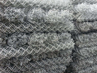 Maille de chaîne tissée antiseptique 50 mm Diamant Fil de fer galvanisé à chaud Convient pour la protection des fermes et des vergers