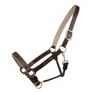 สายคล้องคอหนังวัวแบบแฟนซีมาใหม่มา2024พร้อมแผ่นป้ายสลักและอุปกรณ์โลหะแข็งแรงเชือกแขวนคอหนังม้า - Product Image 4