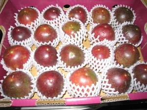 Vente en gros de fruits de la passion Bon service Emballage personnalisé frais et juteux - Product Image 6