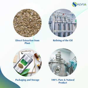 100% Huile essentielle de graines d'aneth pure et naturelle en gros en vrac avec emballage personnalisé à bas prix - Product Image 4