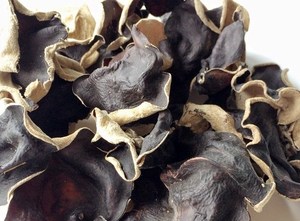 Hongos Oreja de Gato a Buen Precio, Nutritivos, Hongos de Madera para Recetas - Product Image 3