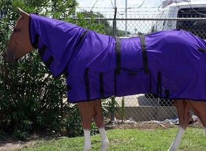 Mantas para Caballos de Alta Calidad al por Mayor, Diseño Nuevo, Impermeables, para Doma, Uso en Todas las Estaciones, 4 Correas para las Patas, Transpirables - Product Image 6