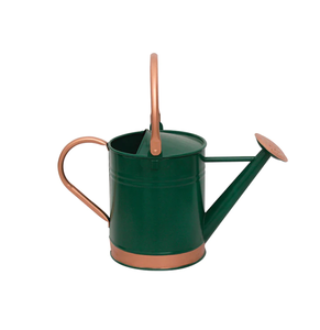 La India fabrica la lata de agua pequeña colorida del metal 1.5L para el mejor precio de los niños - Product Image 6