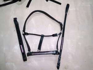 VENDRE montrer bling cuir licou HORSE Halters fabriqué en dollar indien 6 tailles plein cob shetland - Product Image 3