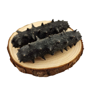 Pepino de mar seco de alta calidad limpio y completamente seco listo para comer embalaje disponible ahora para pedidos al por mayor - Product Image 4