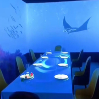 Système d'expérience visuelle interactive personnalisé en projection 3D immersive pour les parcs à thème et les expositions d'art