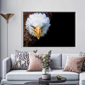 งานศิลปะบนผืนผ้าใบพิมพ์ลาย: นกอินทรีหัวโล้นอันสง่างามในงานตกแต่งห้องใต้หลังคา, ผืนผ้าใบกรอบสีขาว - Product Image 1