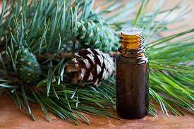 Huile de pin écossais pure 100% Vente en gros d'huile de pin écossais en vrac Huile de pin écossais naturelle et pure - Product Image 4