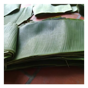 Fabricante de hojas de plátano frescas de Vietnam que ofrece hojas duraderas de primera calidad para envolver alimentos y decoración culinaria - Product Image 6