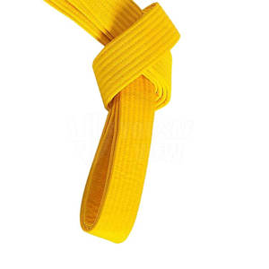 เข็มขัด MMA สำหรับการต่อสู้สินค้ามาใหม่ออกแบบโลโก้ได้ตามต้องการ - Product Image 3