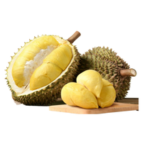 Verse Durian Monthong Gouden Kussen Durian Thailand Exporteert Goedkope Bulk 2023 Durian Op De Boerderij