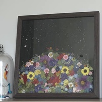 Espécimen de flores naturales mixtas personalizadas para decoración de resina DIY flores prensadas secas reales hechas a mano