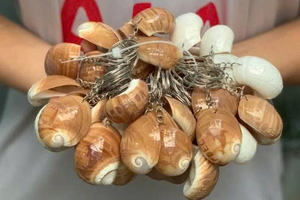 Shell Craft Vietnam Seashell Keychain Handmade Decoration For <b>Gift</b> And Souvenir Market - Product Image 2