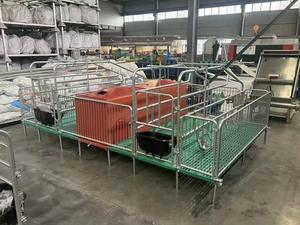 Nuevo Sistema de jaula/puesto de parto eficiente óptimo ZHONGNUO para cría de cerdos con 1 año de garantía para cría de cerdas y lechones - Product Image 2
