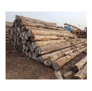 Sapele <b>Wood</b> <b>Logs</b> (Red & White Round Shape) for Timber Top Grade Bulk Supply - Product Image 2
