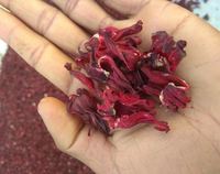 Fleur séchée d'hibiscus d'Inde