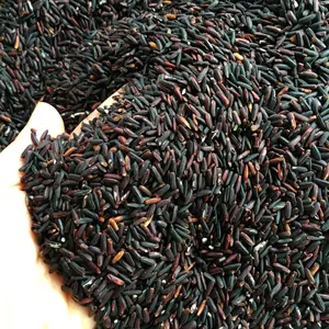 Buen precio de arroz negro mejor suplied arroz negro rojo arroz glutinoso para exportadores Akina