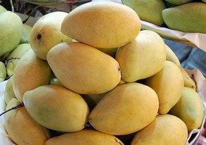 HIGH QUALITY <b>MANGO</b> // VACUCUM <b>DRIED</b> <b>MANGO</b> - Product Image 5