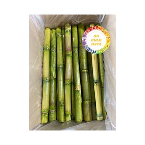 COLD PRESSED FROZEN SUGARCANE JUICE <b>PLANT</b> <b>BASED</b> GOODNESS NO SUGAR ADDED FOR <b>BEVERAGE</b> AND FOOD APPLICATIONS - Product Image 1