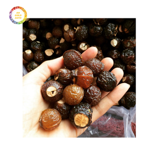 Suministro a granel de nueces de jabón para exportar desde Vietnam Acción de limpieza fuerte y precio de fábrica competitivo - Product Image 1