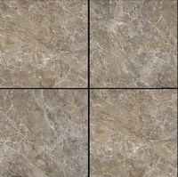 Azzaro – conception naturelle en 600x600mm par Novac céramique LLP inde carreaux de porcelaine polie nitrifiée pour la construction de bureaux